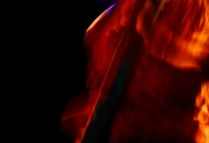 P1150816